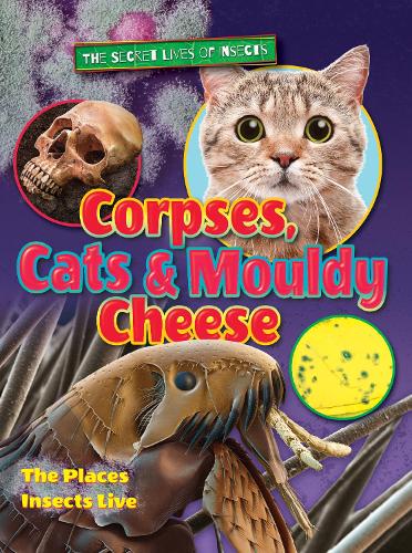 Бумажная книга «Corpses, Cats and Mouldy Cheese», автор Рут Оуэн - фото №1