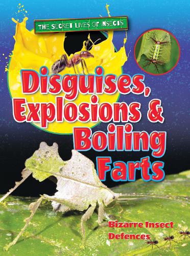 Паперова книга «Disguises, Explosions and Boiling Farts», автор Рут Оуен - фото №1