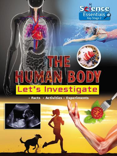Паперова книга «The Human Body: Let's Investigate», автор Рут Оуен - фото №1