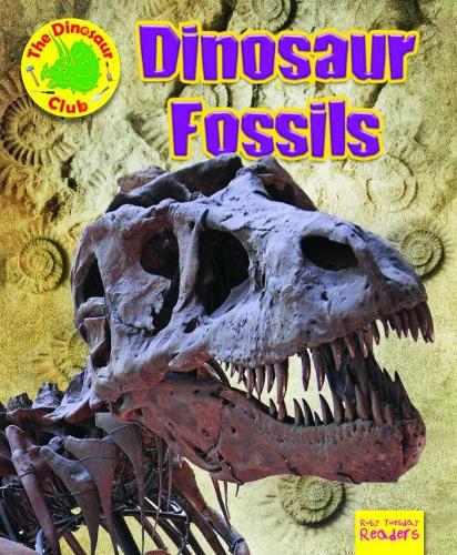 Паперова книга «Dinosaur Fossils», автор Рут Оуен - фото №1