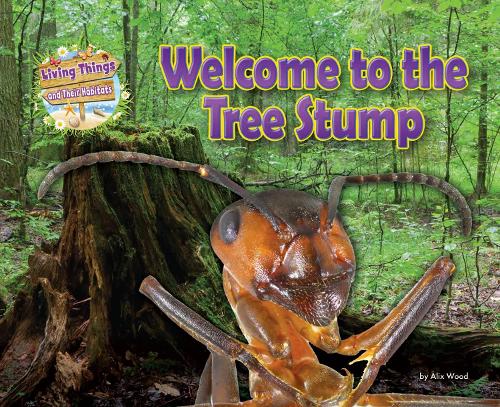 Паперова книга «Welcome to the Tree Stump», автор Алікс Вуд - фото №1
