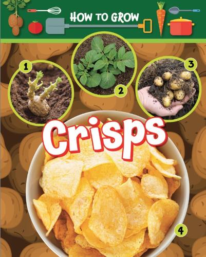 Паперова книга «How to Grow Potato Chips», автор Рут Оуен - фото №1