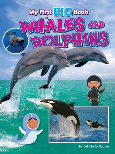 Бумажная книга «My First BIG Book of WHALES and DOLPHINS», автор Белинда Галлахер - фото №1