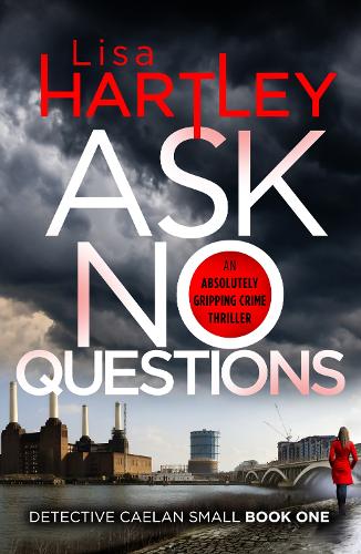 Бумажная книга «Ask No Questions: A gripping crime thriller with a twist you won't see coming», автор Лиза Хартли - фото №1
