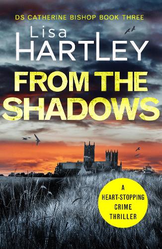 Бумажная книга «From the Shadows: A heart-stopping crime thriller», автор Лиза Хартли - фото №1