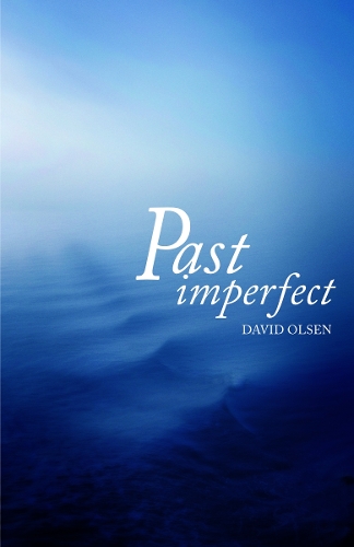 Паперова книга «Past Imperfect», автор Девід Олсен - фото №1