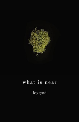 Бумажная книга «What is Near», автор Кей Сирад - фото №1