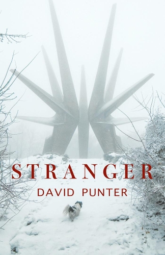 Бумажная книга «Stranger», автор Дэвид Пантер - фото №1