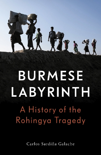 Паперова книга «The Burmese Labyrinth», автор Карлос Сардінья Галаче - фото №1