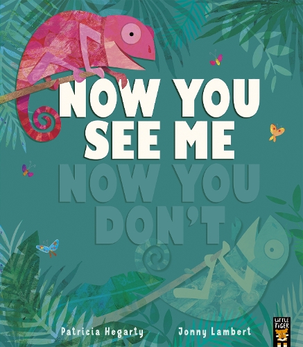 Паперова книга «Now You See Me, Now You Don’t», автор Патриція Хегарті - фото №1