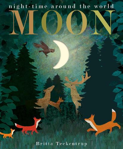 Бумажная книга «Moon: night-time around the world», авторов Бритта Текентруп, Патриция Хегарти - фото №1
