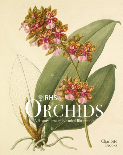 Бумажная книга «RHS Orchids», автор Шарлотта Брукс - фото №1