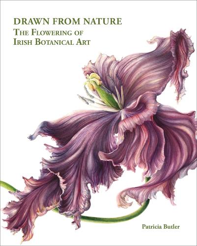 Бумажная книга «Drawn From Nature: The Flowering of Irish Botanical Art», автор Патриция Батлер - фото №1