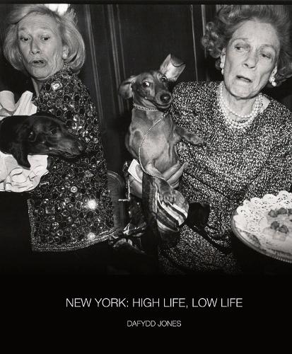 Бумажная книга «New York: High Life / Low Life» - фото №1