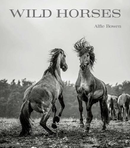 Бумажная книга «Wild Horses», автор Альфи Боуэн - фото №1