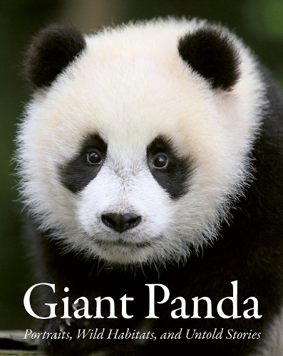 Бумажная книга «Giant Panda: Portraits, Wild Habitats, and Untold Stories», автор Национальное управление лесного и степного хозяйства Китая - фото №1