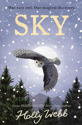 Паперова книга «Sky», автор Холлі Вебб - фото №1