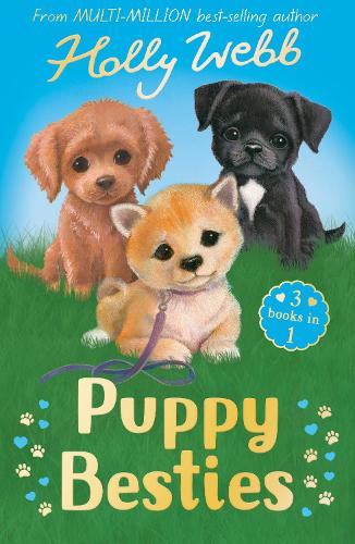 Бумажная книга «Puppy Besties: The Puppy Who Ran Away, The Puppy Who Couldn't Sleep, The Forgotten Puppy», автор Холли Вебб - фото №1
