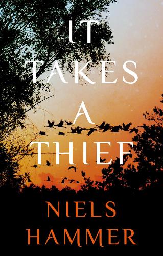 Бумажная книга «It Takes a Thief», автор Нильс Хаммер - фото №1