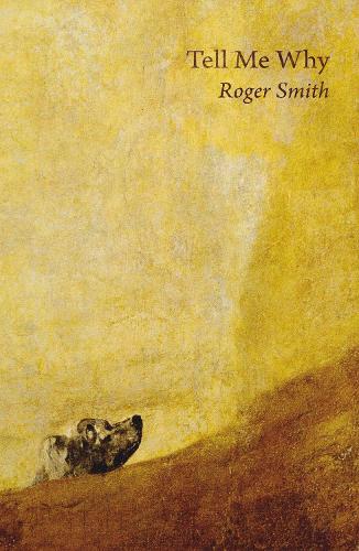 Бумажная книга «Tell Me Why», автор Роджер Смит - фото №1