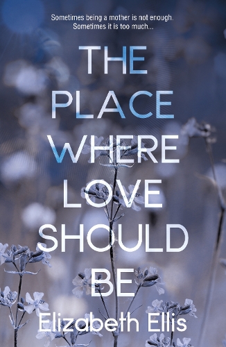 Бумажная книга «The Place Where Love Should Be», автор Элизабет Эллис - фото №1