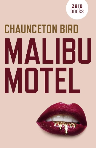 Бумажная книга «Malibu Motel: A novel about the colossal cost of free cash», автор Чонсетон Берд - фото №1