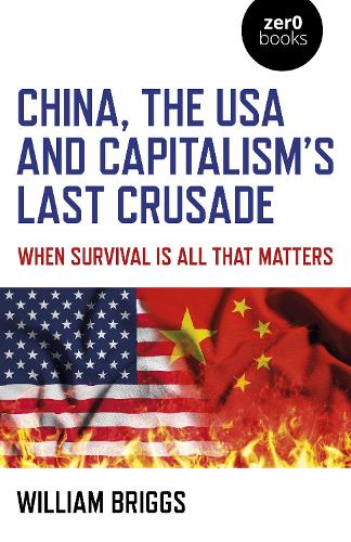 Бумажная книга «China, the USA and Capitalism's Last Crusade: When Survival Is All That Matters», автор Уильям Бриггс - фото №1