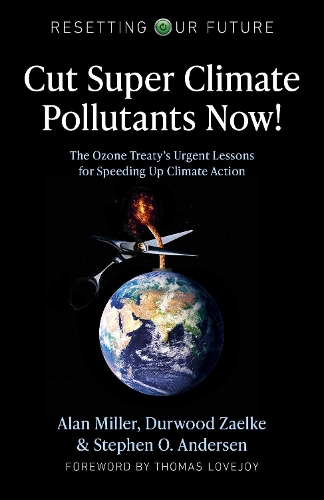 Бумажная книга «Resetting Our Future: Cut Super Climate Pollutants Now!: The Ozone Treaty's Urgent Lessons for Speeding Up Climate Action», авторов Алан Миллер, Дурвуд Заэльке, Стивен О. Андерсен - фото №1