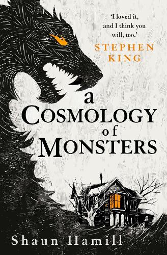 Паперова книга «A Cosmology of Monsters», автор Шон Гемілл - фото №1