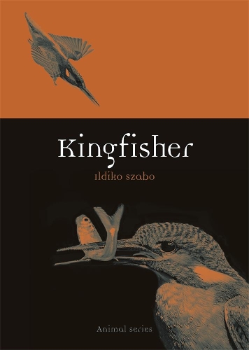 Бумажная книга «Kingfisher», автор Ильдико Сабо - фото №1