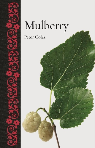 Паперова книга «Mulberry», автор Пітер Коулз - фото №1