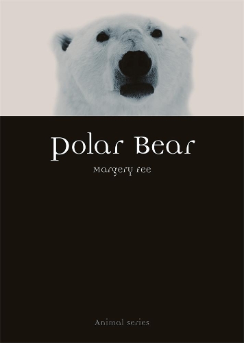 Паперова книга «Polar Bear», автор Марджері Фі - фото №1