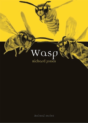 Бумажная книга «Wasp», автор Ричард Джонс - фото №1