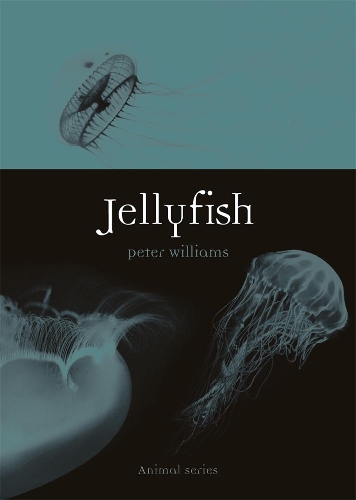 Бумажная книга «Jellyfish», автор Питер Уильямс - фото №1