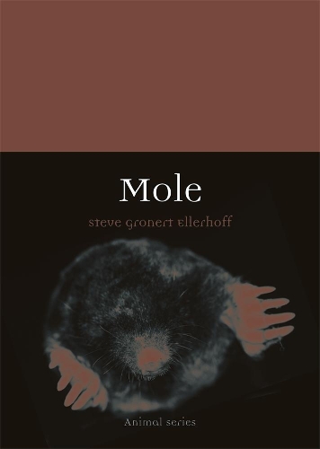 Бумажная книга «Mole», автор Стив Гронерт Эллерхофф - фото №1