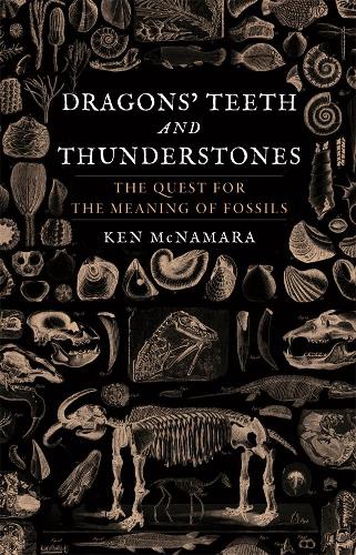 Бумажная книга «Dragons' Teeth and Thunderstones: The Quest for the Meaning of Fossils», автор Кеннет Дж. Макнамара - фото №1