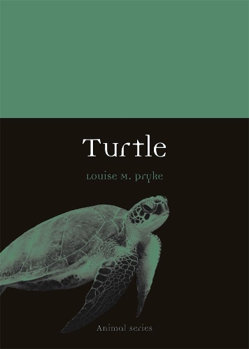 Бумажная книга «Turtle», автор Луиза М. Прайк - фото №1