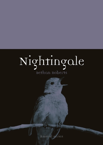 Паперова книга «Nightingale», автор Бетан Робертс - фото №1