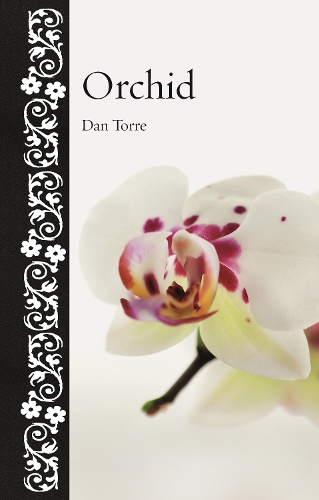Бумажная книга «Orchid», автор Дэн Торре - фото №1