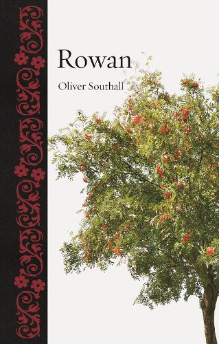 Паперова книга «Rowan», автор Олівер Саутхолл - фото №1