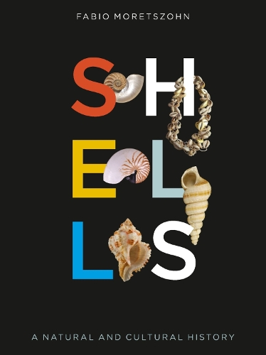Бумажная книга «Shells: A Natural and Cultural History», автор Фабио Морецсон - фото №1