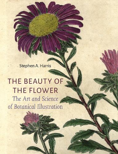 Бумажная книга «The Beauty of the Flower: The Art and Science of Botanical Illustration», автор Стивен А. Харрис - фото №1