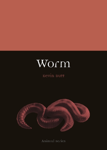 Бумажная книга «Worm», автор Кевин Батт - фото №1