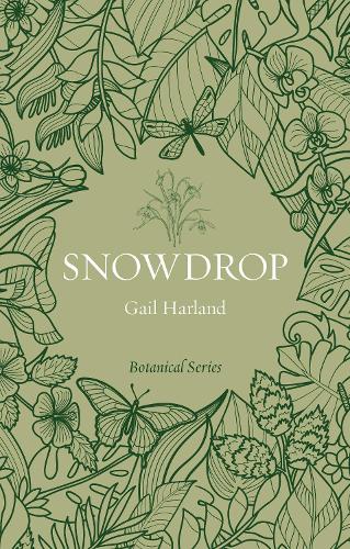 Бумажная книга «Snowdrop», автор Гейл Харланд - фото №1