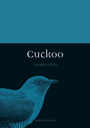 Бумажная книга «Cuckoo», автор Синтия Крис - фото №1