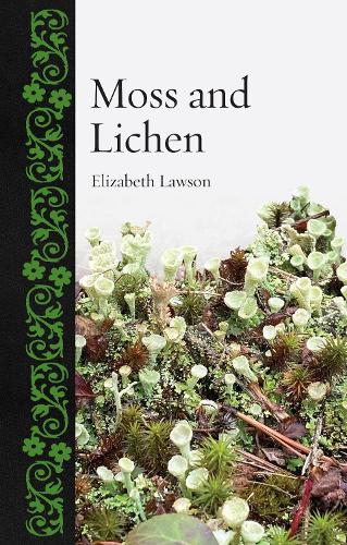Бумажная книга «Moss and Lichen», автор Элизабет Лоусон - фото №1