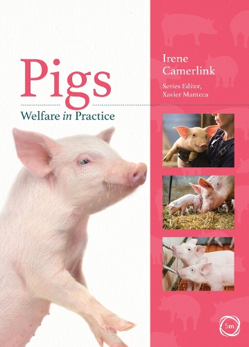 Бумажная книга «Pigs Welfare in Practice», автор Ирен Камерлинк - фото №1