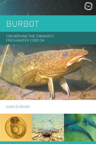 Бумажная книга «Burbot: Conserving the Enigmatic Freshwater Codfish», автор Марк Эверард - фото №1