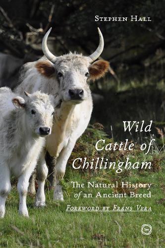 Бумажная книга «Wild Cattle of Chillingham: The Natural History of an Ancient Breed», автор Стивен Холл - фото №1