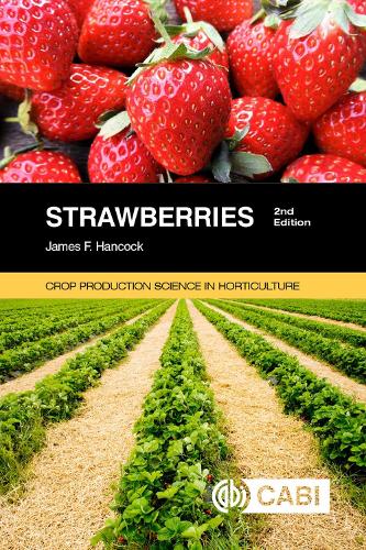 Бумажная книга «Strawberries», автор Джеймс Хэнкок - фото №1